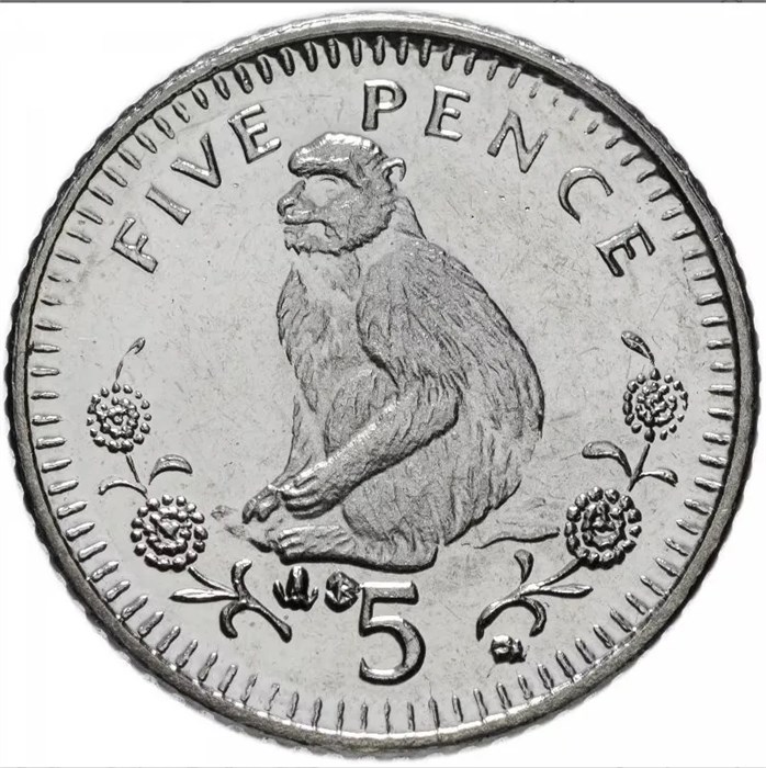 5 центов - Обезьяна, Гибралтар, 2003 год, UNC 14529