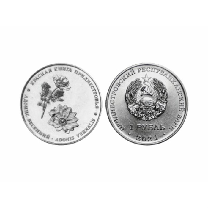 1 рубль - Адонис весенний, Приднестровье, 2021 год 12543