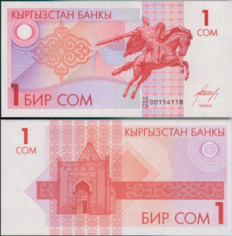 Банкнота 1 сом - Кирнизия, 1993 год, UNC 17069