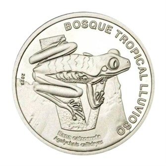 50 колонов - Лягушка Кальзонуда, Коста-Рика, 2023 год 13957