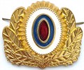Кокарда фсин 14100