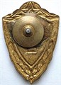 Значок - 1 классность, тяжелый 14483