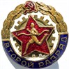 Значок - Второй разряд 16344