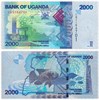 Банкнота 2000 шиллингов - Уганда, 2022 год, UNC 17059
