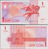 Банкнота 1 сом - Кирнизия, 1993 год, UNC 17069