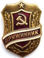 Значок - Дружинник 13065